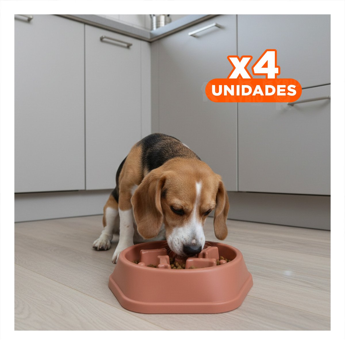 PACK4 FUENTE CREATIVA PARA ENTRETENIMIENTO CANINO TIPO HUESITOS EXAGONAL AZUL - 1