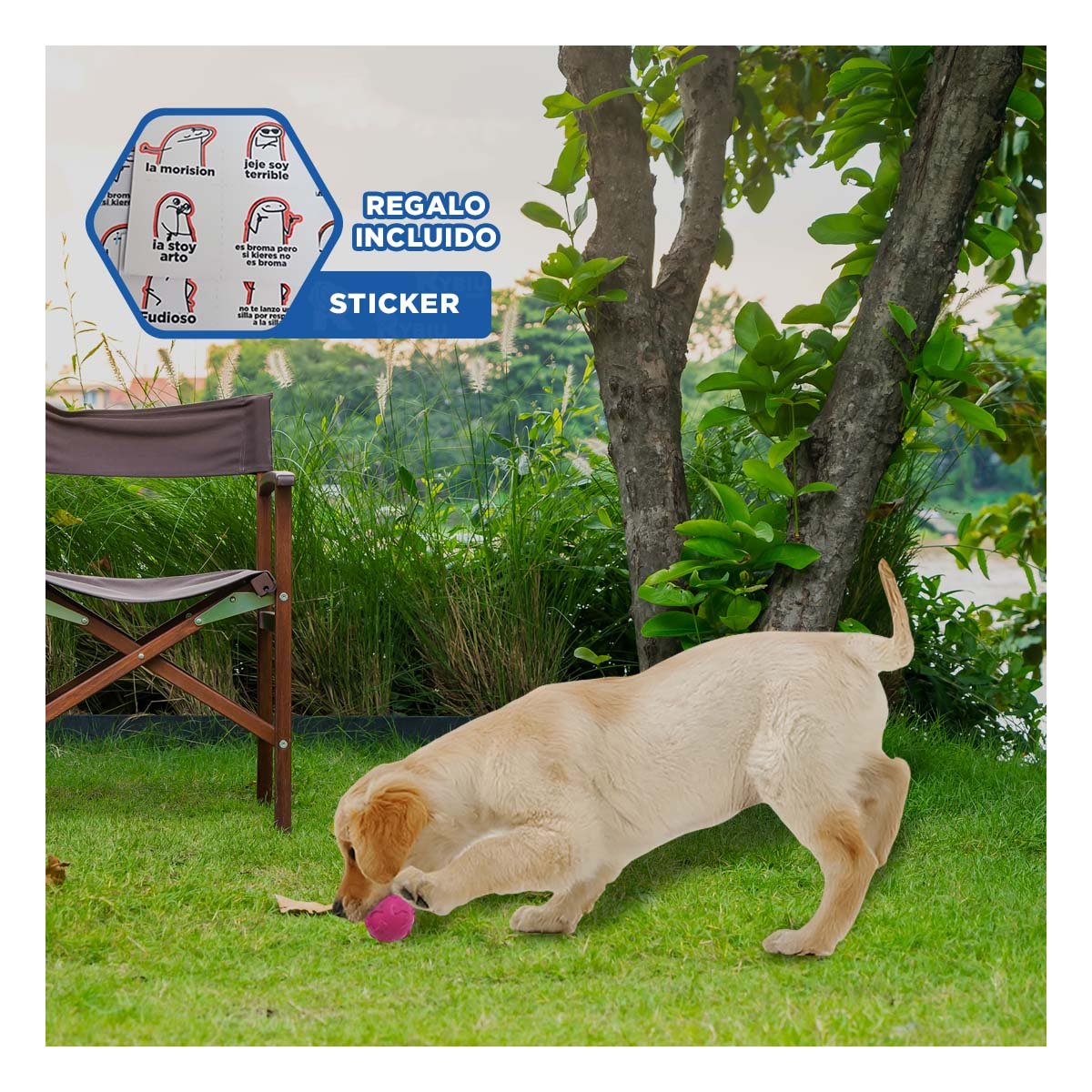 BALON DE GOMA PET CON RELIEVE DE HUESOS PARA MASCOTA FUCSIA Y+REGALO STICKER - 1