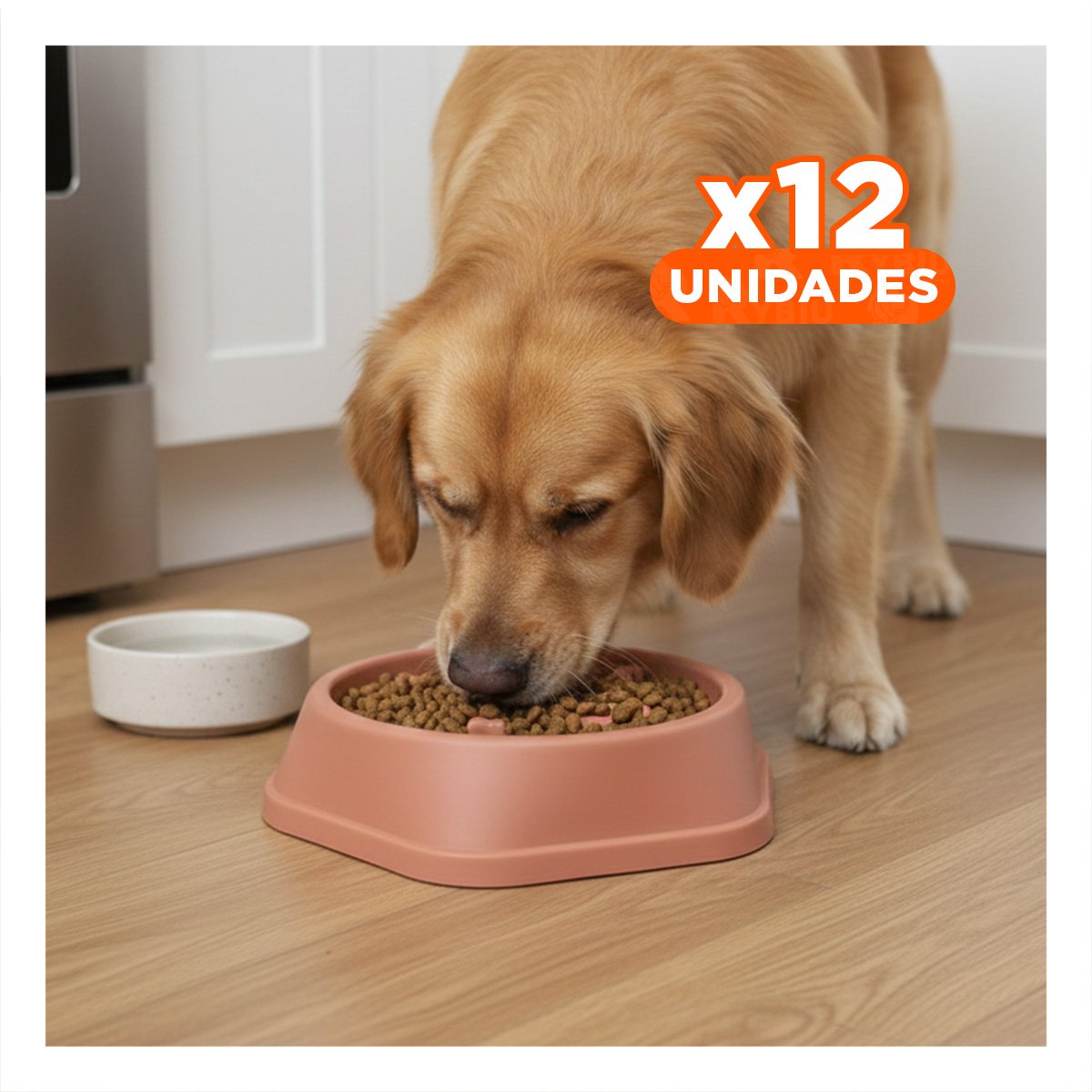 PACK12 CUENCO PARA MANTENER AL PERRO ACTIVO TIPO HUESITOS EXAGONAL AZUL - 1
