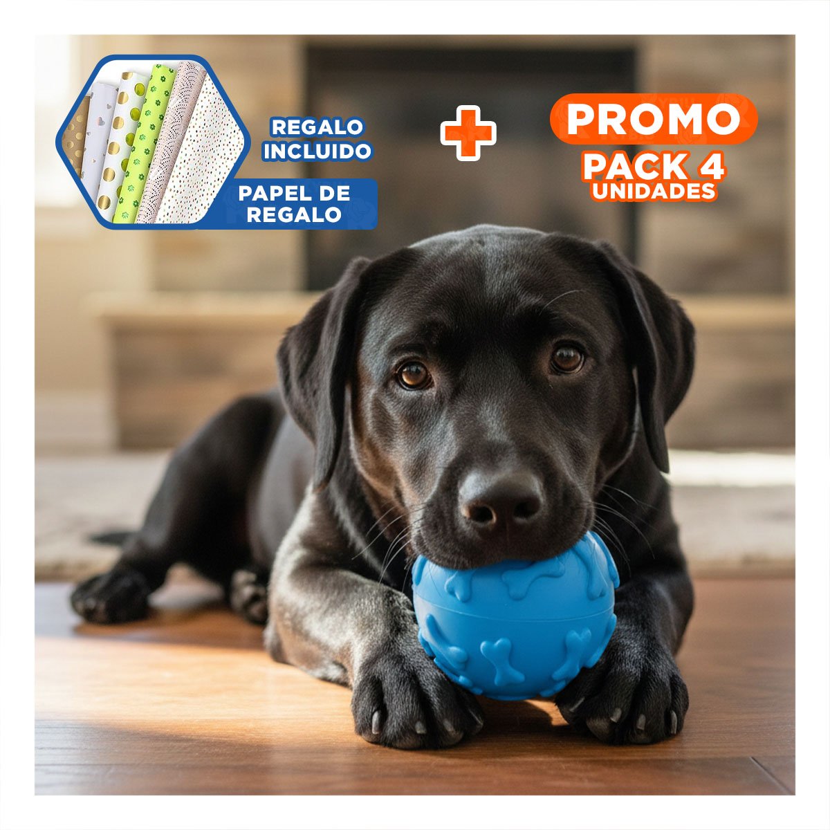PACK4 MORDEDOR RESISTENTE CON HUESOS MARCADOS PARA PERRO PET CELESTE Y+PAPEL REGALO - 1