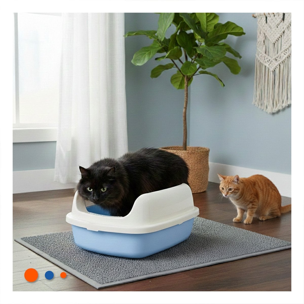 PACK4 CONTENEDOR DE ARENA MODERNA Y PRACTICA 37,7X50X21CM CELESTE - 5