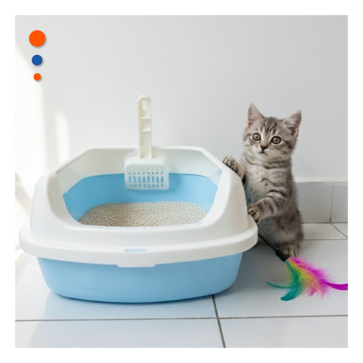 PACK12 ARCA DE ARENA COMODA Y PRACTICA PARA MASCOTAS 37,7X50X21CM CELESTE - 5