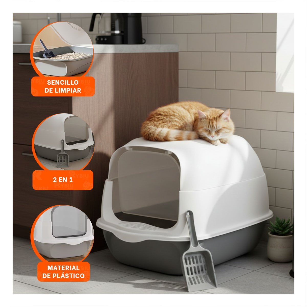 PACK4 BANDEJA SANITARIA ABIERTA PARA HIGIENE DIARIA DE GATOS VERDE LIMÓN - 5