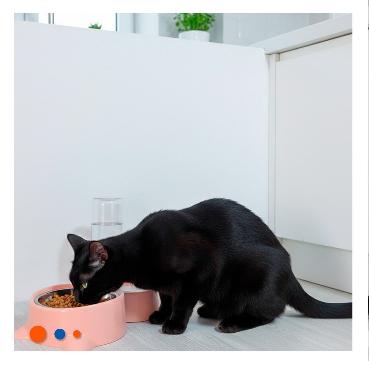 CONTENEDOR PARA MASCOTA 2 EN 1 CON OREJITAS PARA USO EN CASA CELESTE Y+REGALO STICKER - 2
