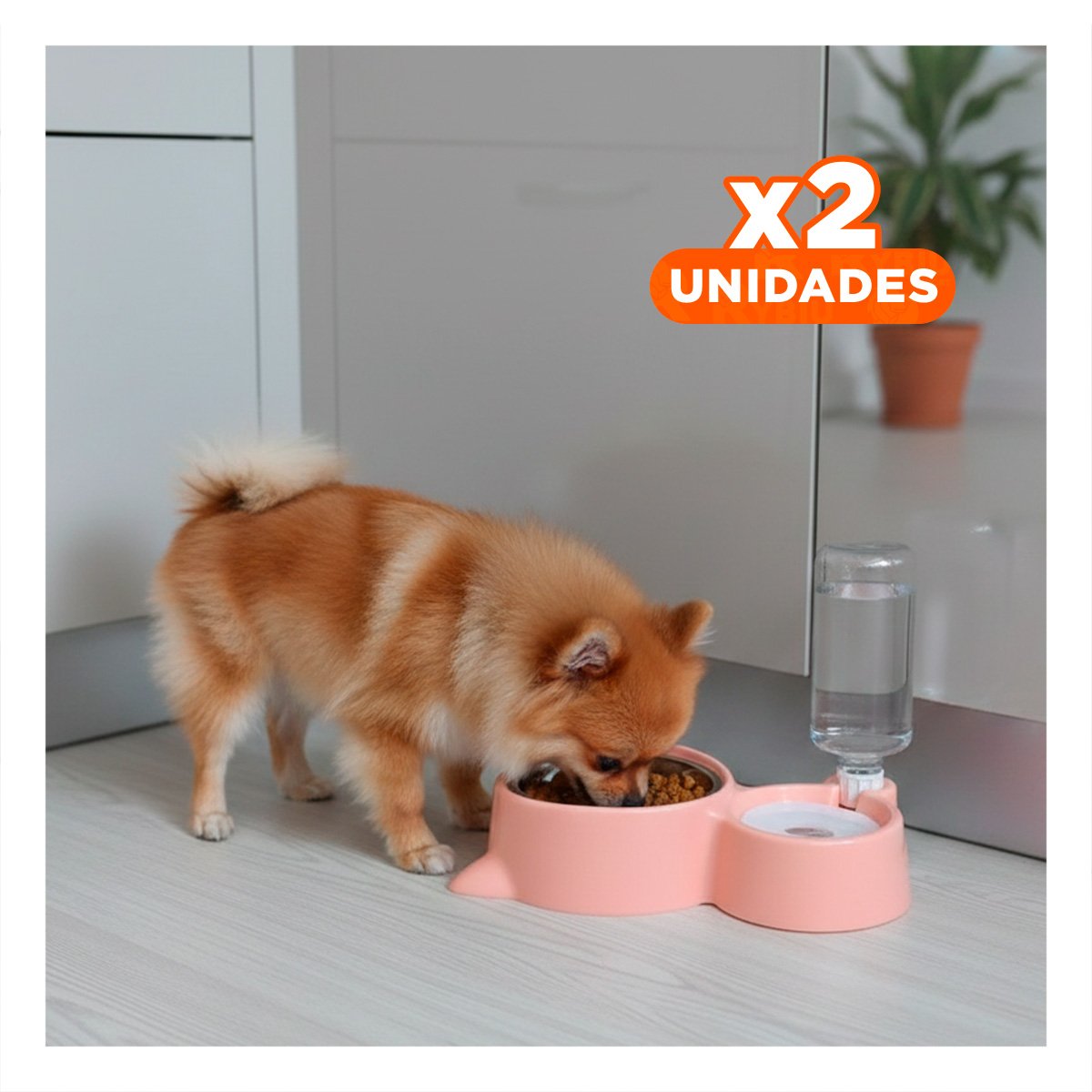 PACK2 OPCION PARA MASCOTA 2 EN 1 CON OREJITAS PARA CASA CELESTE Y+PAPEL REGALO - 1