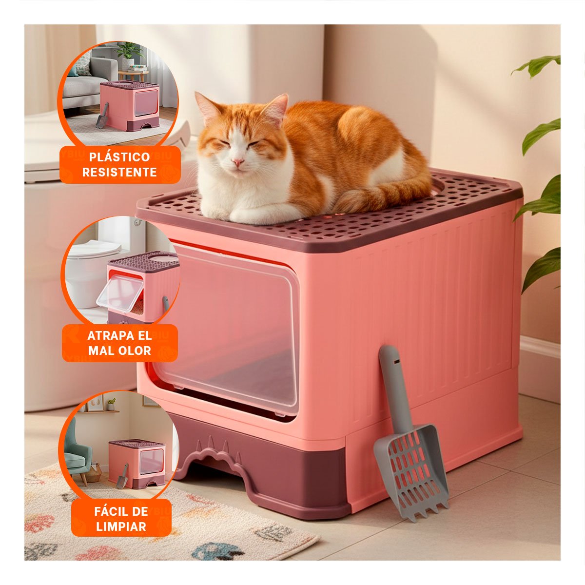 PACK4 BANDEJA SANITARIA ABIERTA PARA HIGIENE DIARIA DE GATOS VERDE LIMÓN - 5