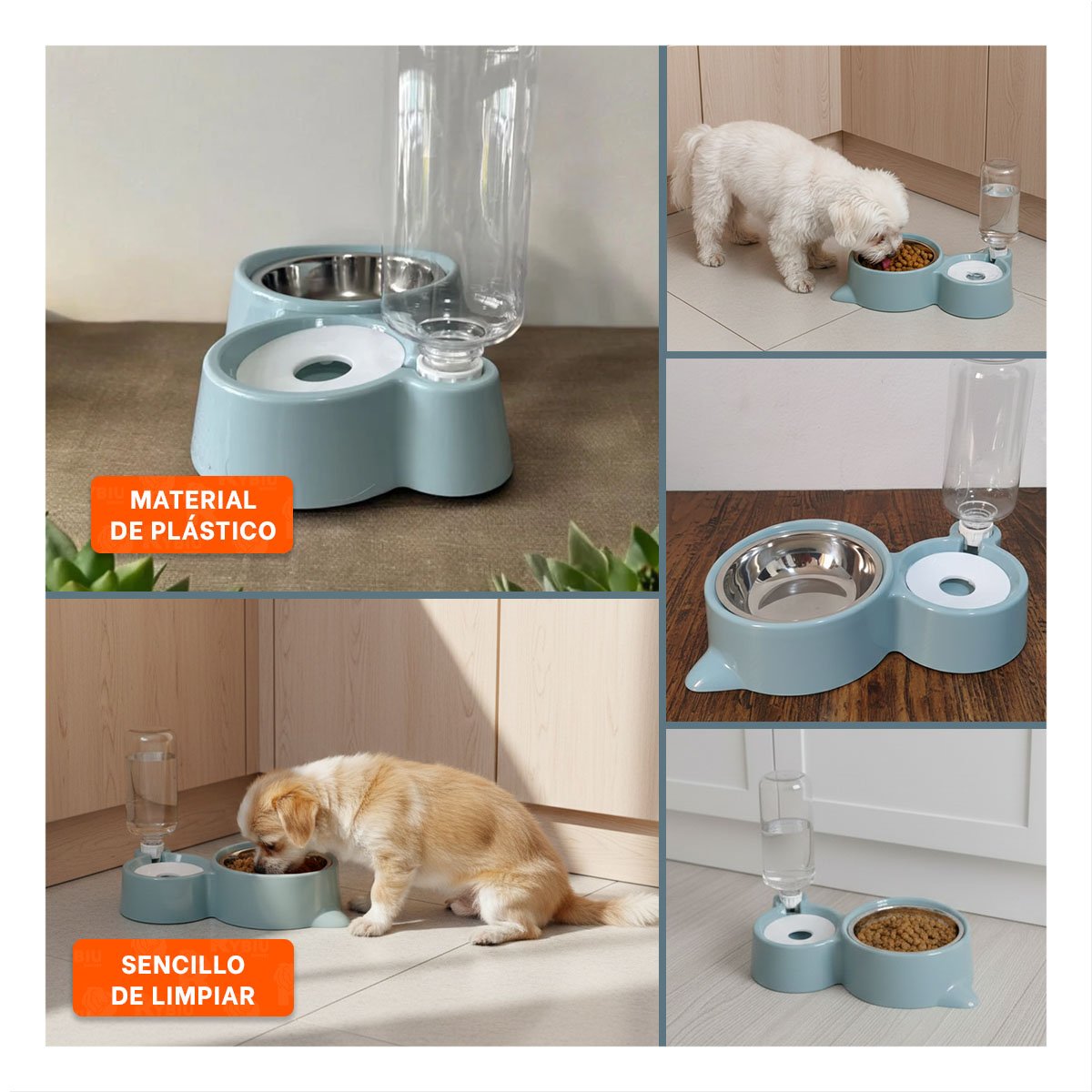 PACK4 PROPUESTA PARA MASCOTA 2 EN 1 CON OREJITAS PARA CASA CELESTE Y+REGALO STICKER - 2