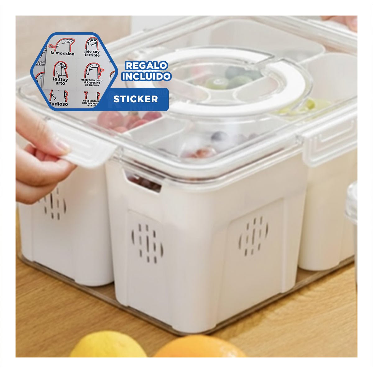 ORGANIZADOR DE PLASTICO CON 4 BANDEJAS ESCURRIDORAS Y COMPARTIMENTOS Y+REGALO STICKER - 1