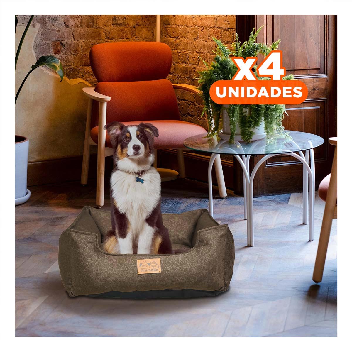 PACK4 BASE MARRON PARA PERRO TALLA M CON COMPLETO - 1