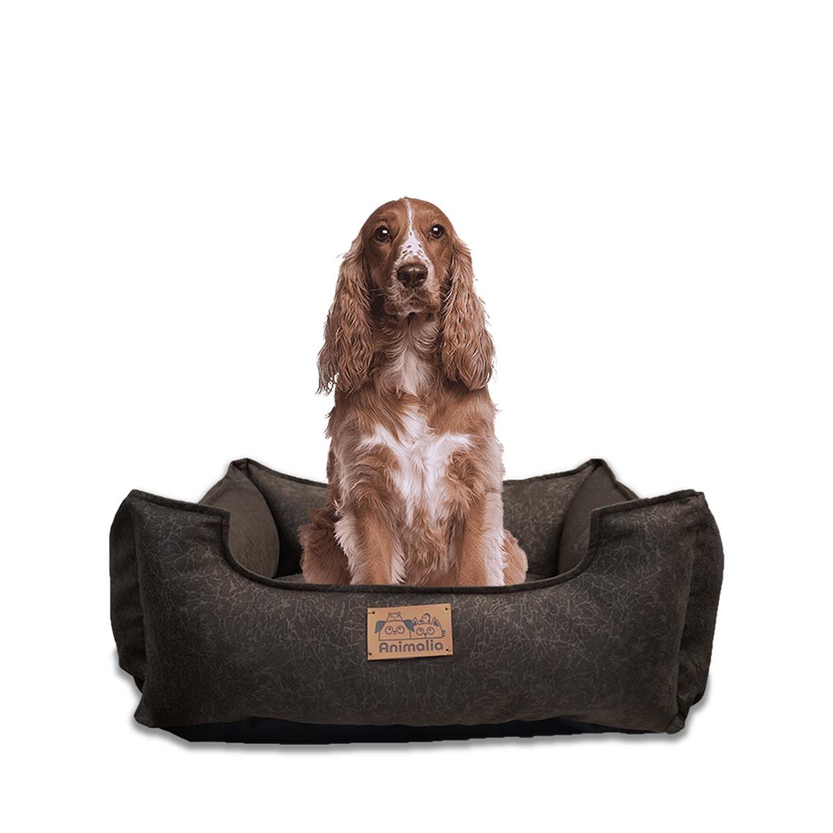 PACK4 ESPACIO MARRON PARA PERRO TALLA M CON COMPLETO Y+PAPEL REGALO - 3