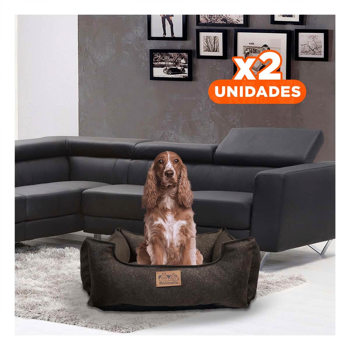 PACK2 DESCANSO MARRON PARA PERRO TALLA M CON COMPLETO Y+REGALO STICKER - 1