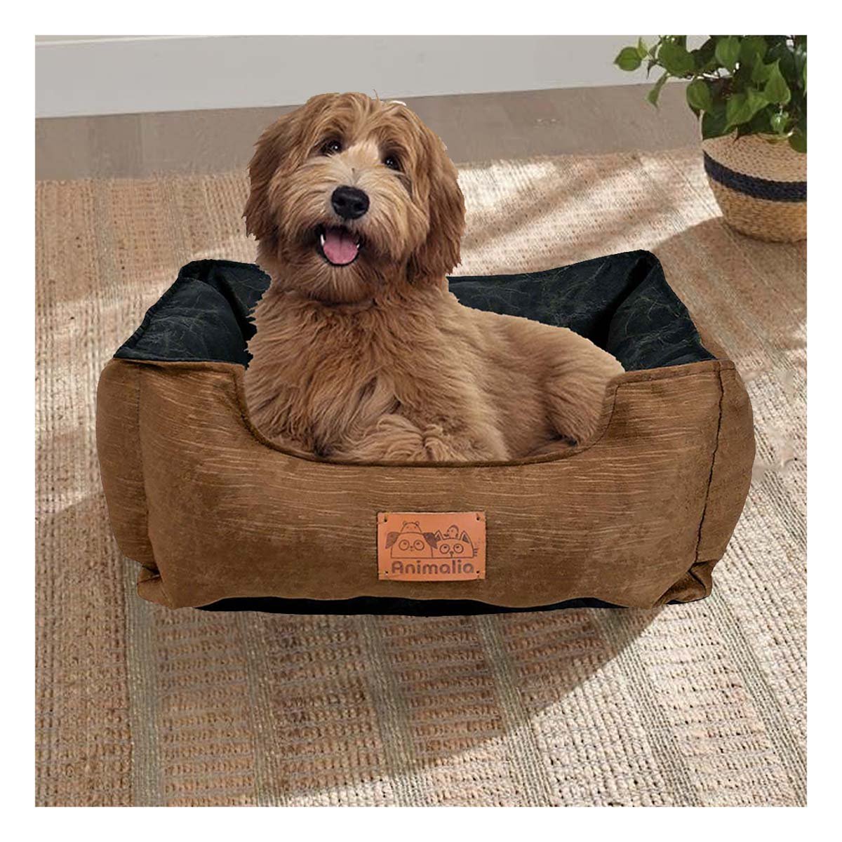 PACK6 ZONA MARRON PARA PERRO TALLA M CON CENTRO NEGRO Y+REGALO STICKER - 3