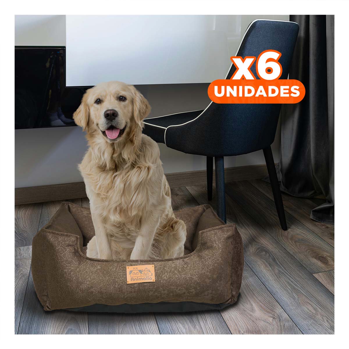 PACK6 ZONA MARRON PARA PERRO TALLA M CON COMPLETO Y+REGALO STICKER - 1