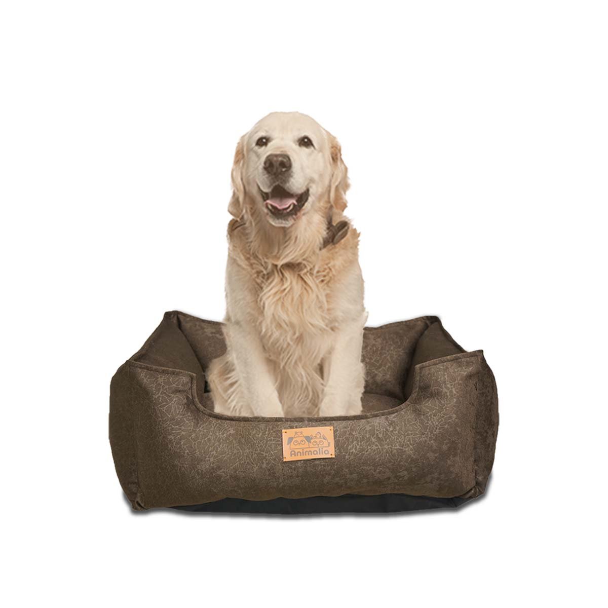 PACK6 ZONA MARRON PARA PERRO TALLA M CON COMPLETO Y+REGALO STICKER - 2