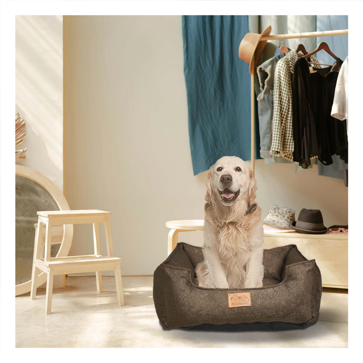 UNIDAD DE DESCANSO PARA PERRO TALLA M MARRON COMPLETO Y+REGALO STICKER - 5
