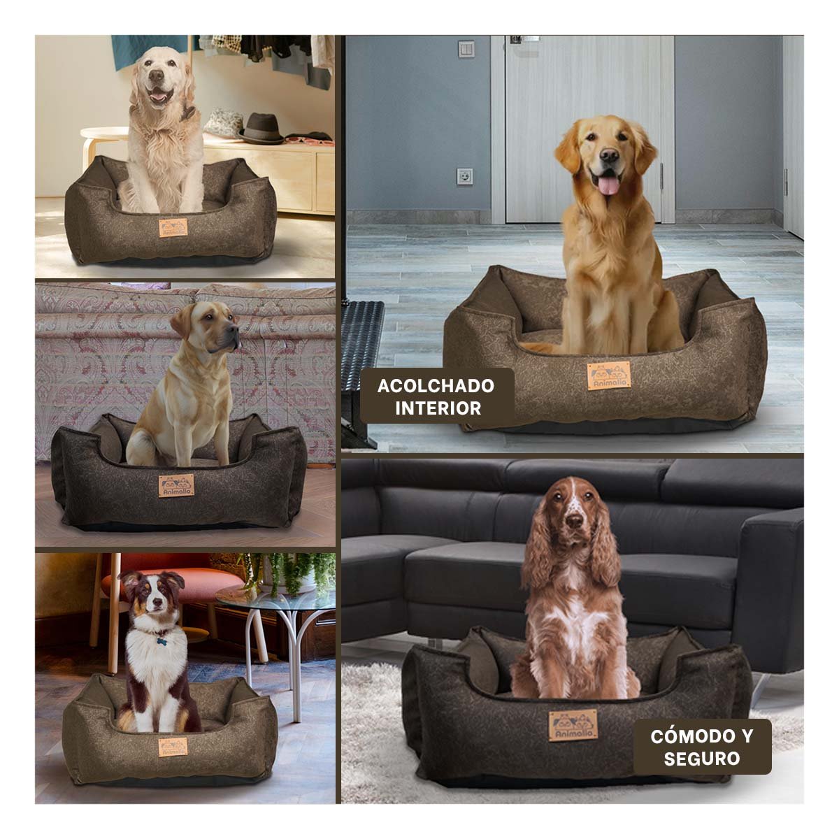 COLCHON MARRON PARA PERRO TALLA M CON COMPLETO Y+POST IT - 1
