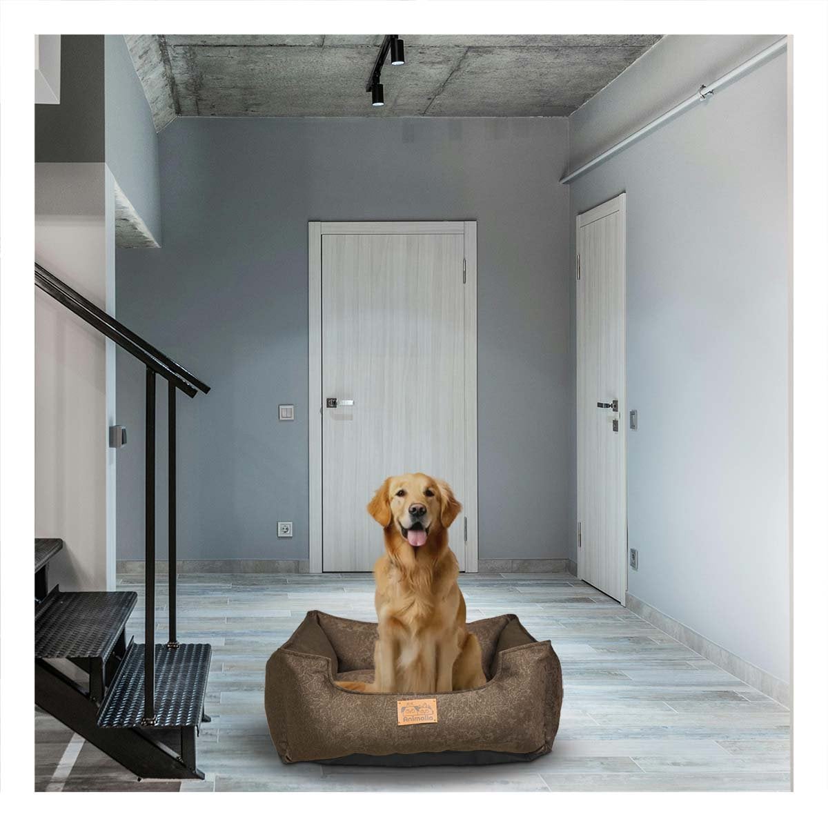 ESTRUCTURA ACOLCHADA PARA PERRO TALLA M MARRON COMPLETO - 1