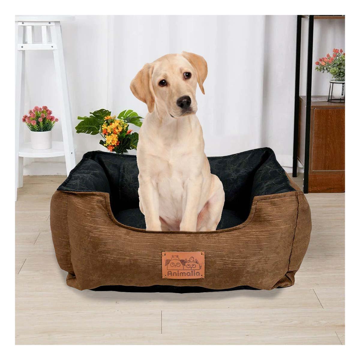 PACK4 NIDO MARRON PARA PERRO TALLA M CON CENTRO NEGRO Y+REGALO STICKER - 3