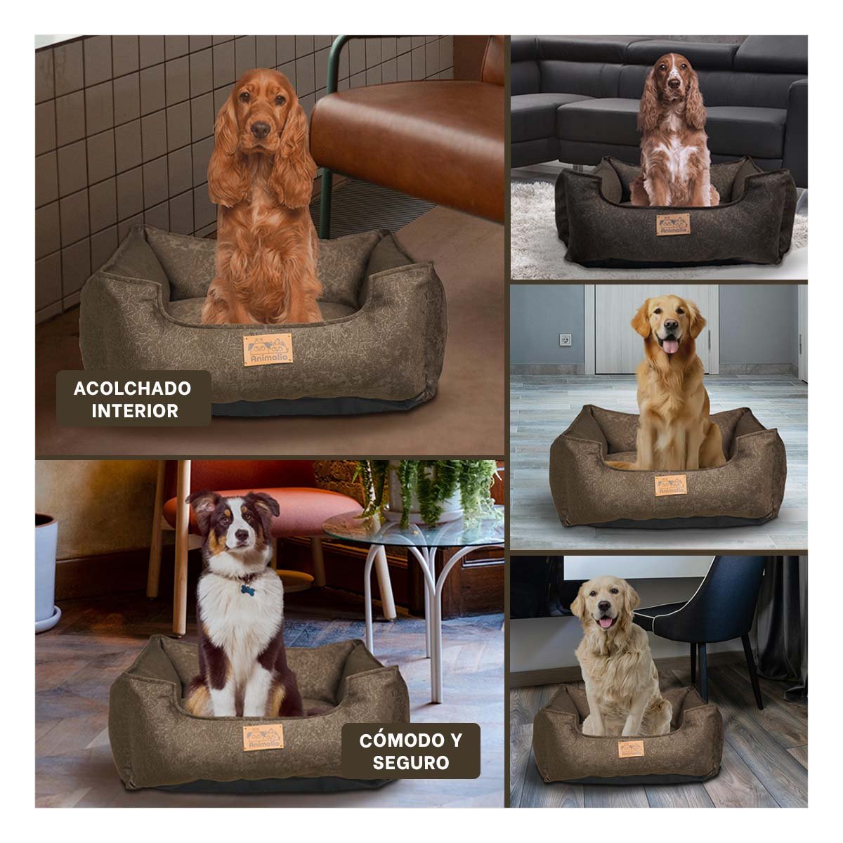 PACK4 NIDO MARRON PARA PERRO TALLA M CON COMPLETO Y+REGALO STICKER - 2