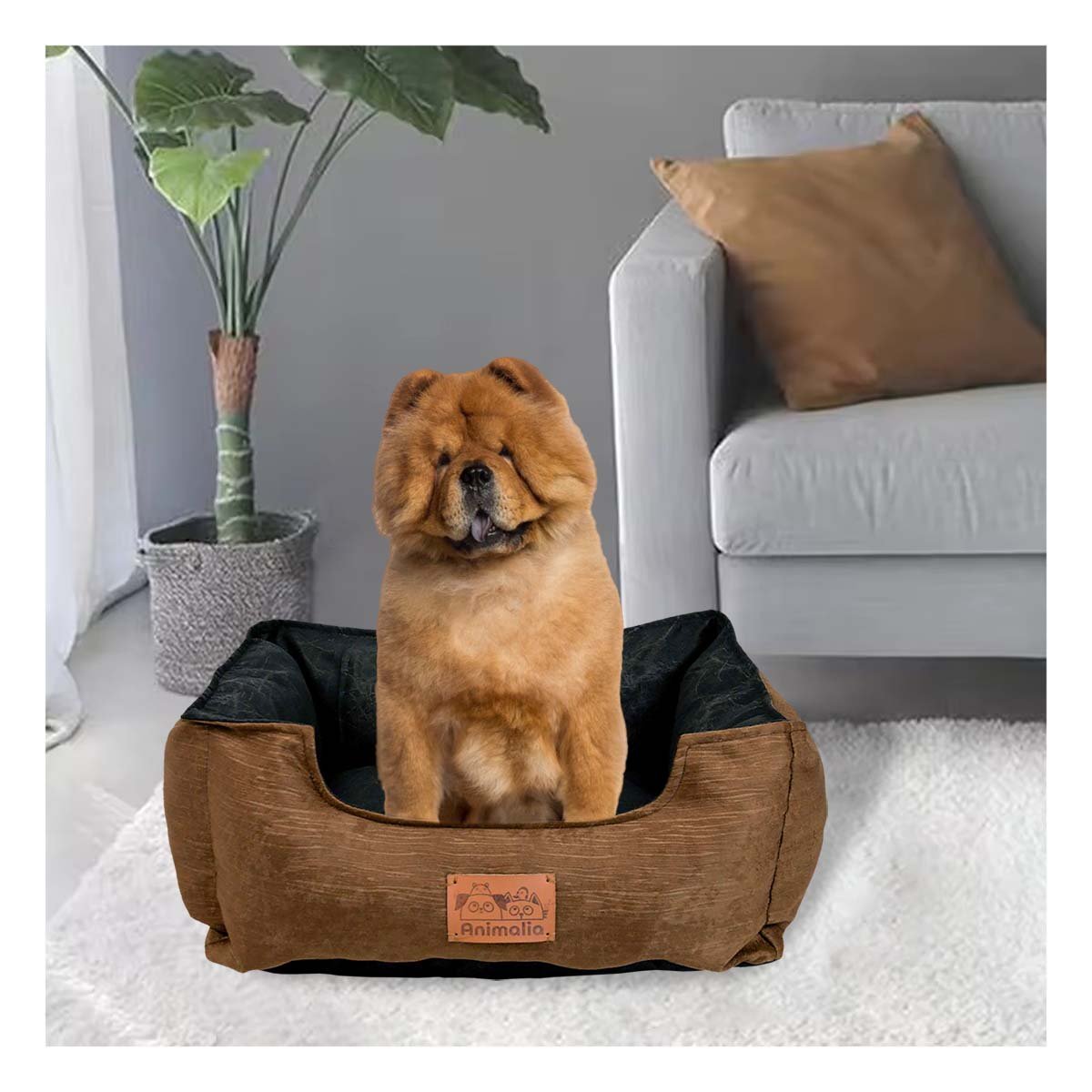 PACK2 DESCANSO MARRON PARA PERRO TALLA M CON CENTRO NEGRO Y+REGALO STICKER - 3