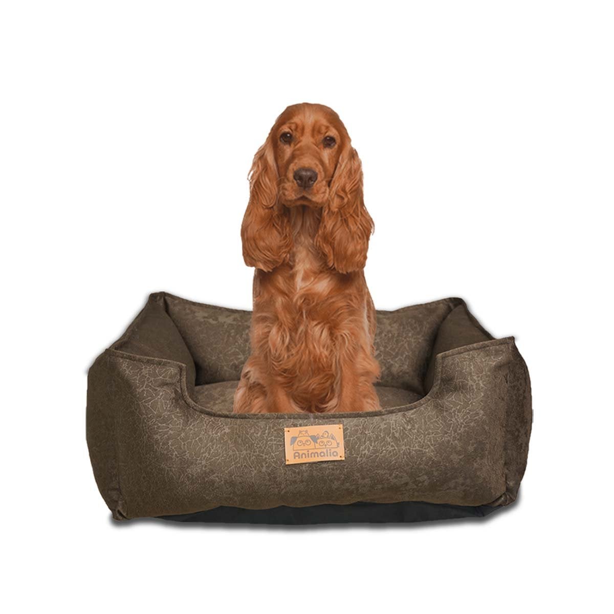 SOPORTE ACOLCHADO PARA PERRO TALLA M MARRON COMPLETO Y+PAPEL REGALO - 1