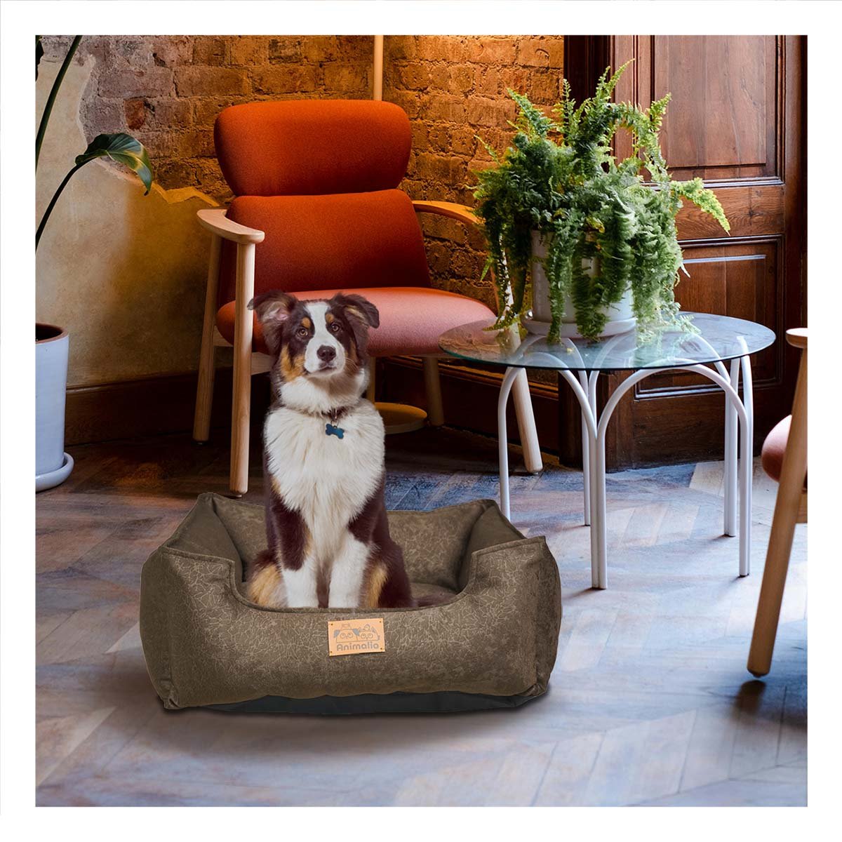 SOPORTE ACOLCHADO PARA PERRO TALLA M MARRON COMPLETO Y+PAPEL REGALO - 2