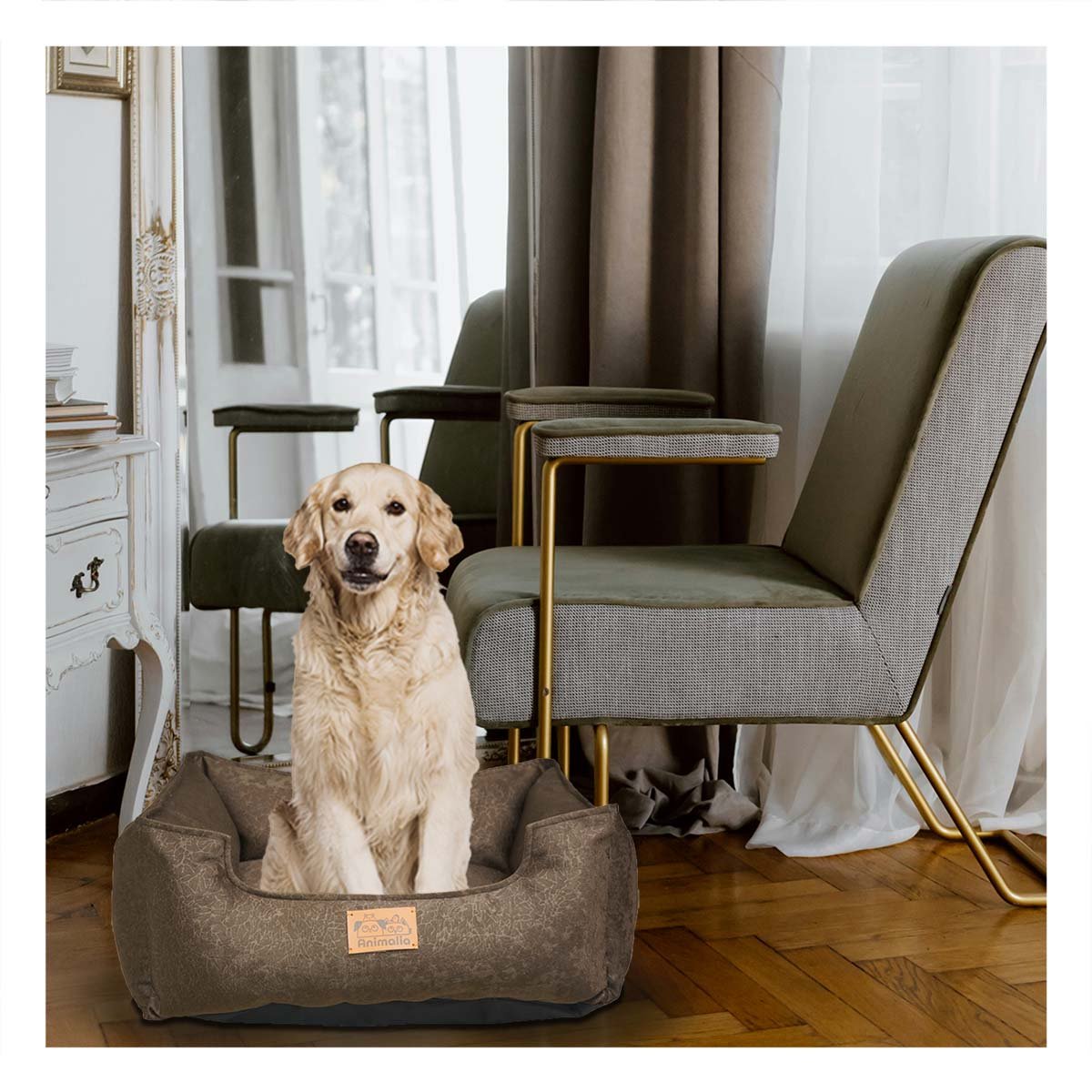SOPORTE ACOLCHADO PARA PERRO TALLA M MARRON COMPLETO Y+PAPEL REGALO - 3