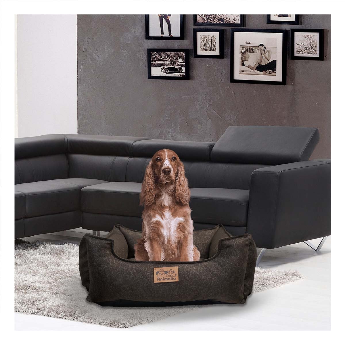 SOPORTE ACOLCHADO PARA PERRO TALLA M MARRON COMPLETO Y+PAPEL REGALO - 5