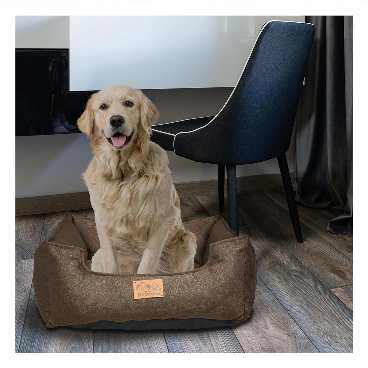 PACK6 SUPERFICIE MARRON PARA PERRO TALLA M CON COMPLETO - 3
