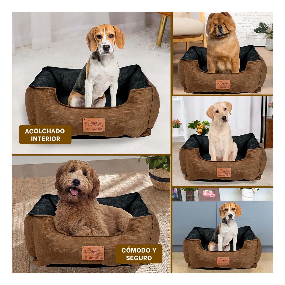 PACK6 AREA MARRON PARA PERRO TALLA M CON CENTRO NEGRO Y+PAPEL REGALO - 3
