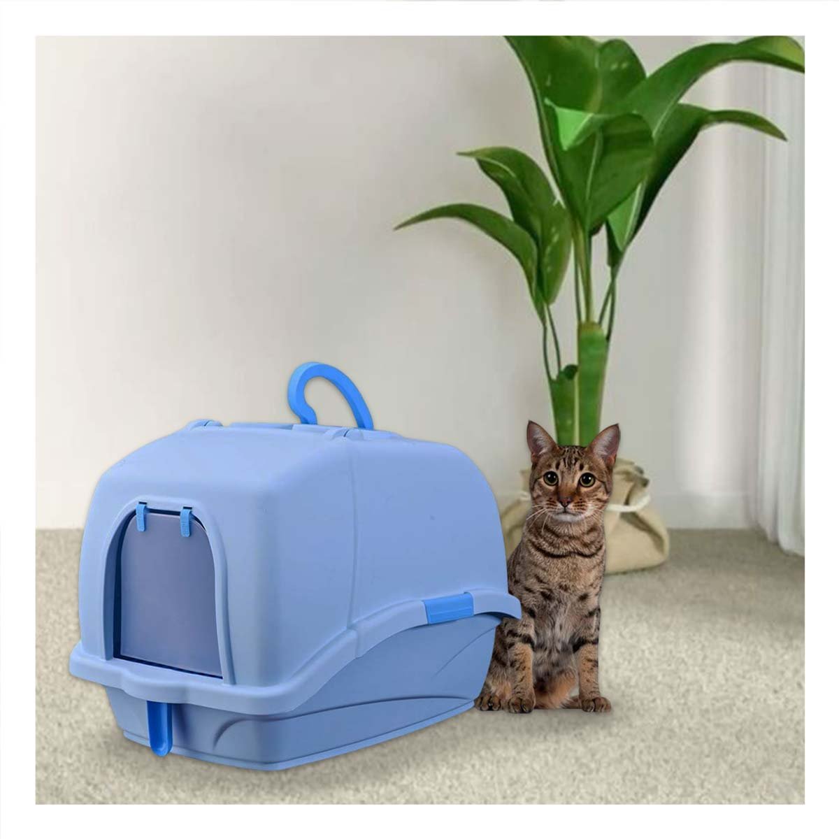 PACK4 SANITARIO CERRADO CELESTE CON CERNIDOR Y PALA PARA GATOS - 5
