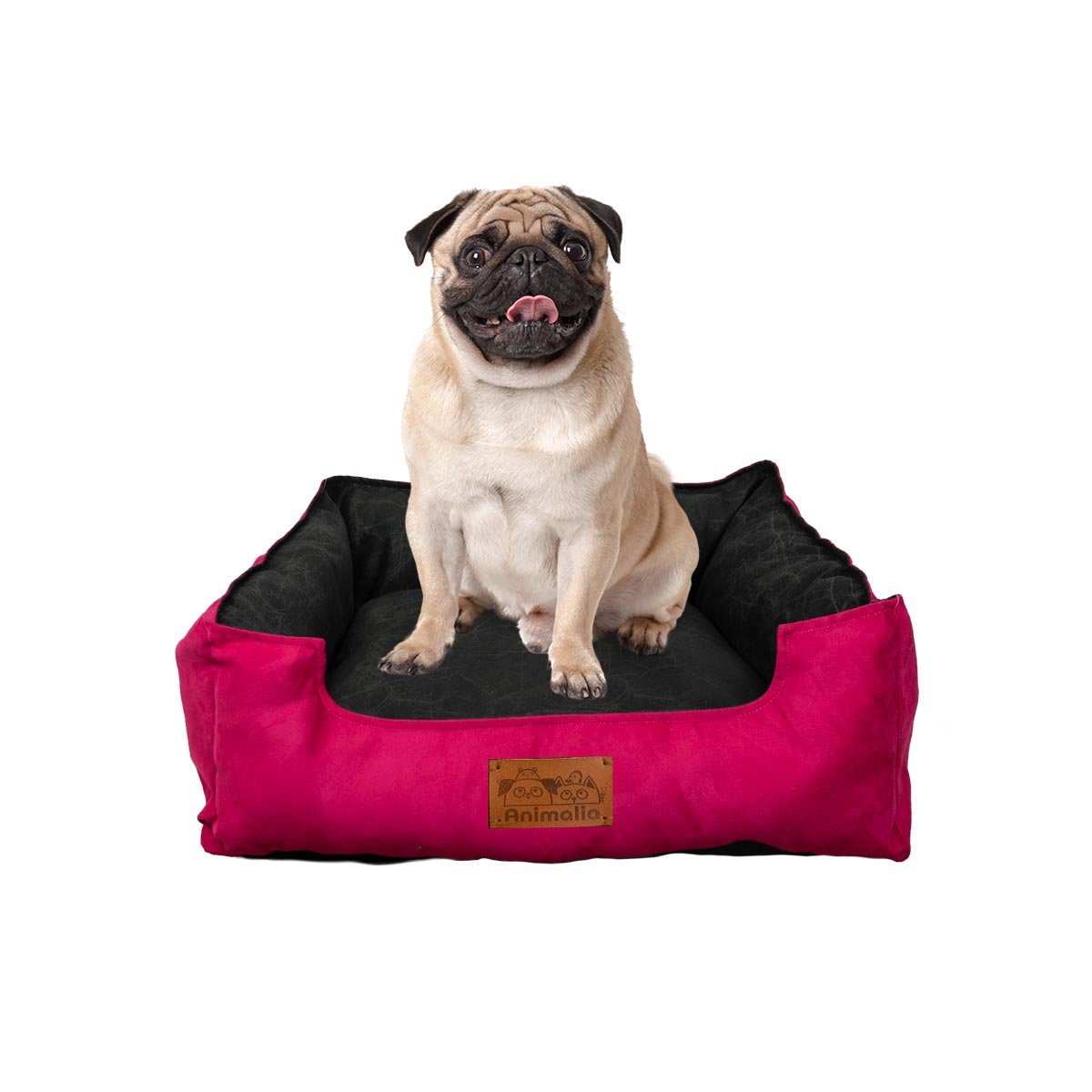 PACK6 ZONA FUCSIA PARA PERRO TALLA M CON CENTRO NEGRO Y+REGALO STICKER - 2