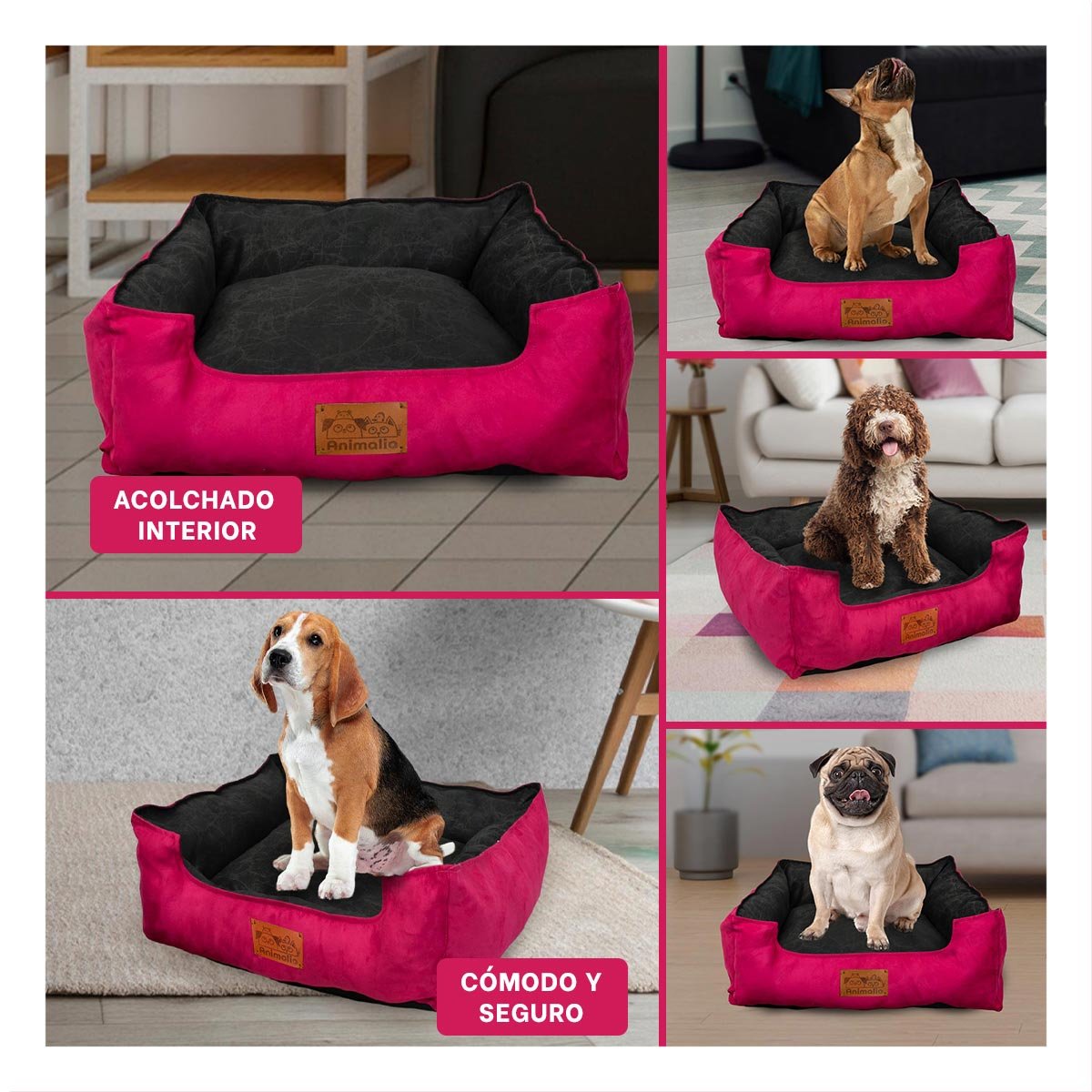 PACK4 NIDO FUCSIA PARA PERRO TALLA M CON CENTRO NEGRO Y+REGALO STICKER - 2