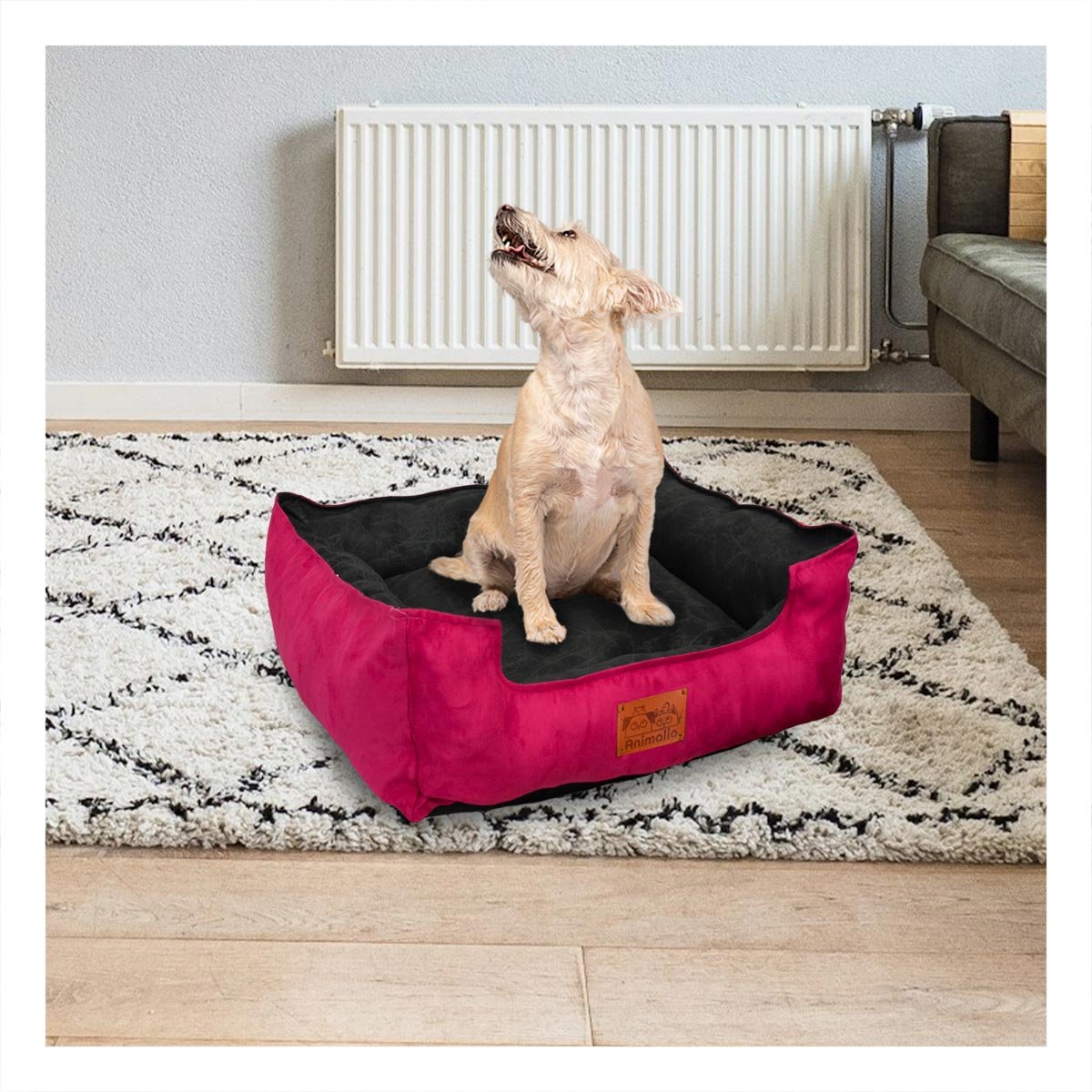 PACK4 NIDO FUCSIA PARA PERRO TALLA M CON CENTRO NEGRO Y+REGALO STICKER - 3