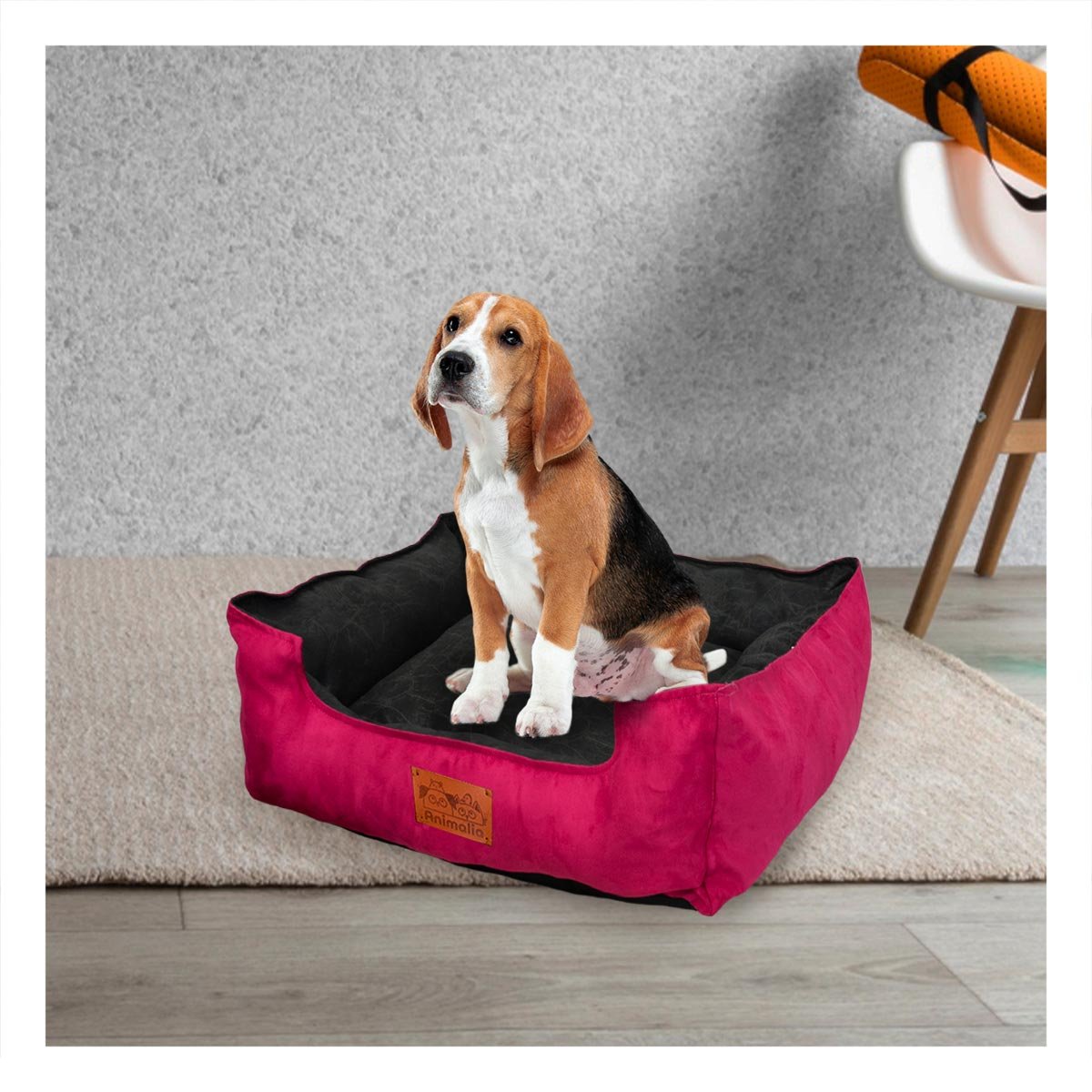 PACK6 SUPERFICIE FUCSIA PARA PERRO TALLA M CON CENTRO NEGRO - 2