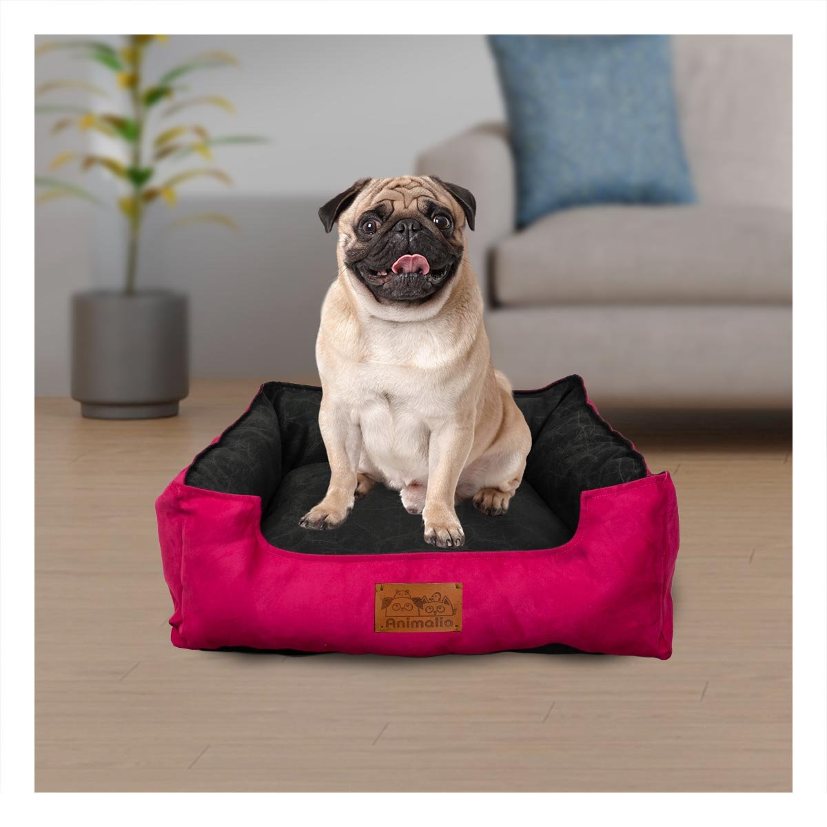 PACK6 SUPERFICIE FUCSIA PARA PERRO TALLA M CON CENTRO NEGRO - 3