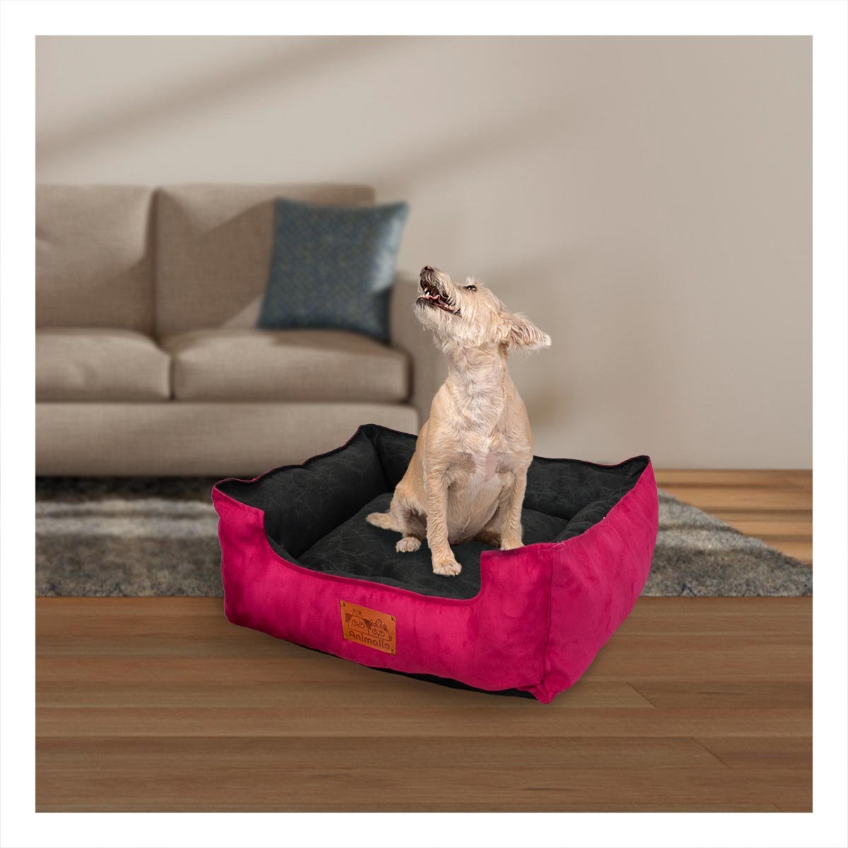 PACK4 BASE FUCSIA PARA PERRO TALLA M CON CENTRO NEGRO - 3