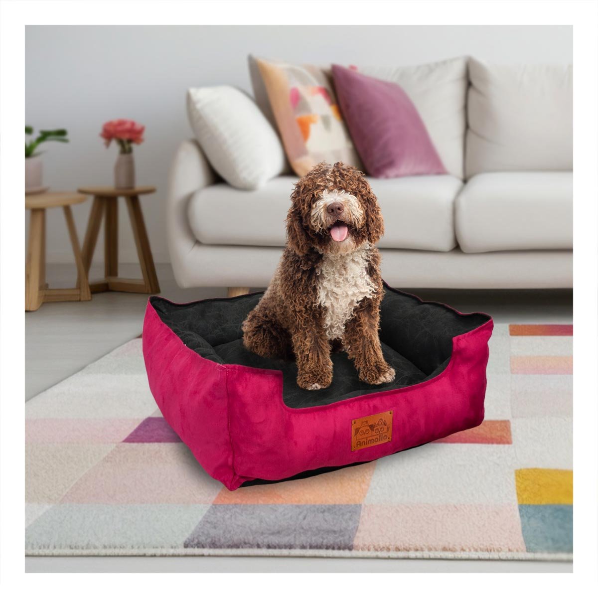 PACK4 BASE FUCSIA PARA PERRO TALLA M CON CENTRO NEGRO - 5