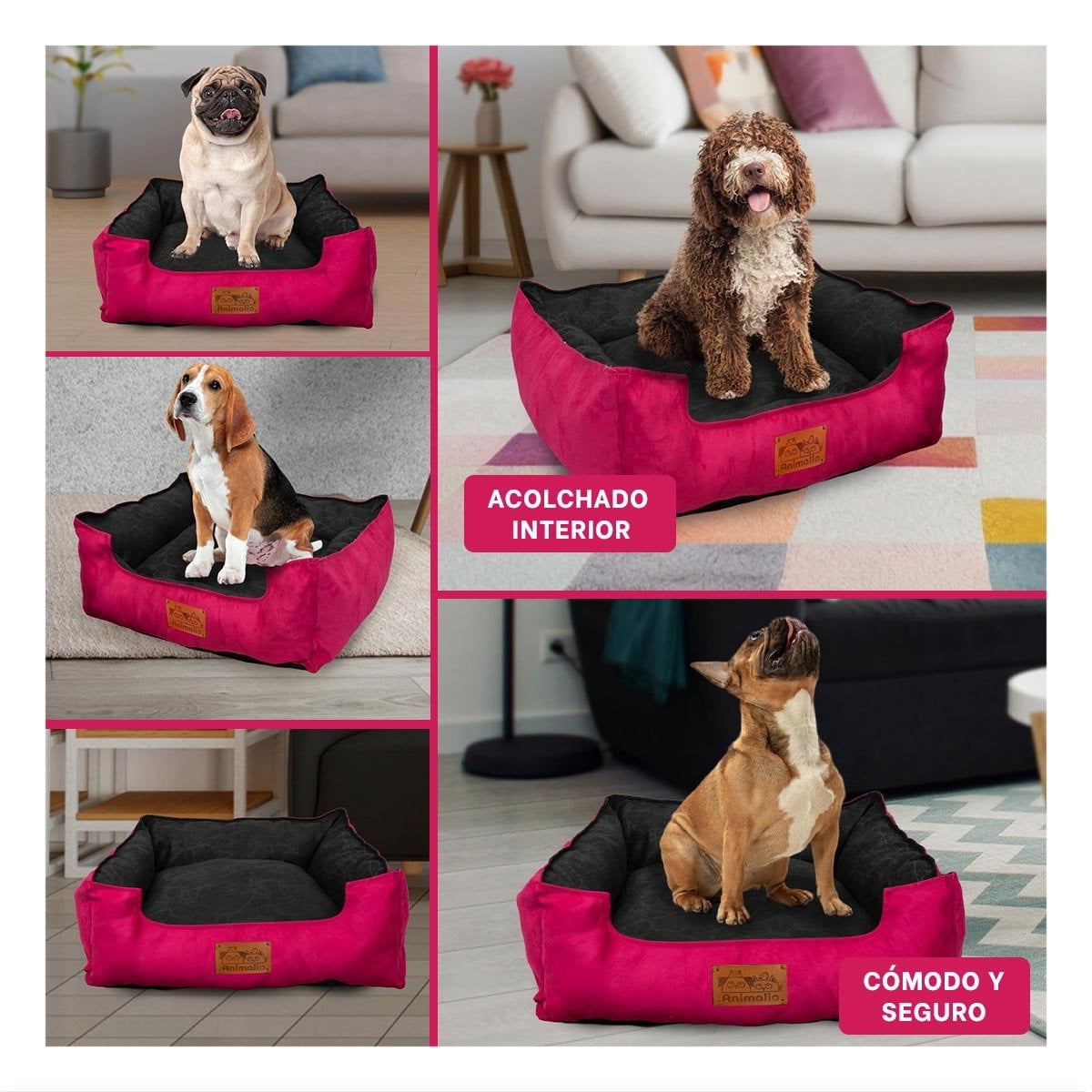 COLCHON FUCSIA PARA PERRO TALLA M CON CENTRO NEGRO Y+POST IT - 1