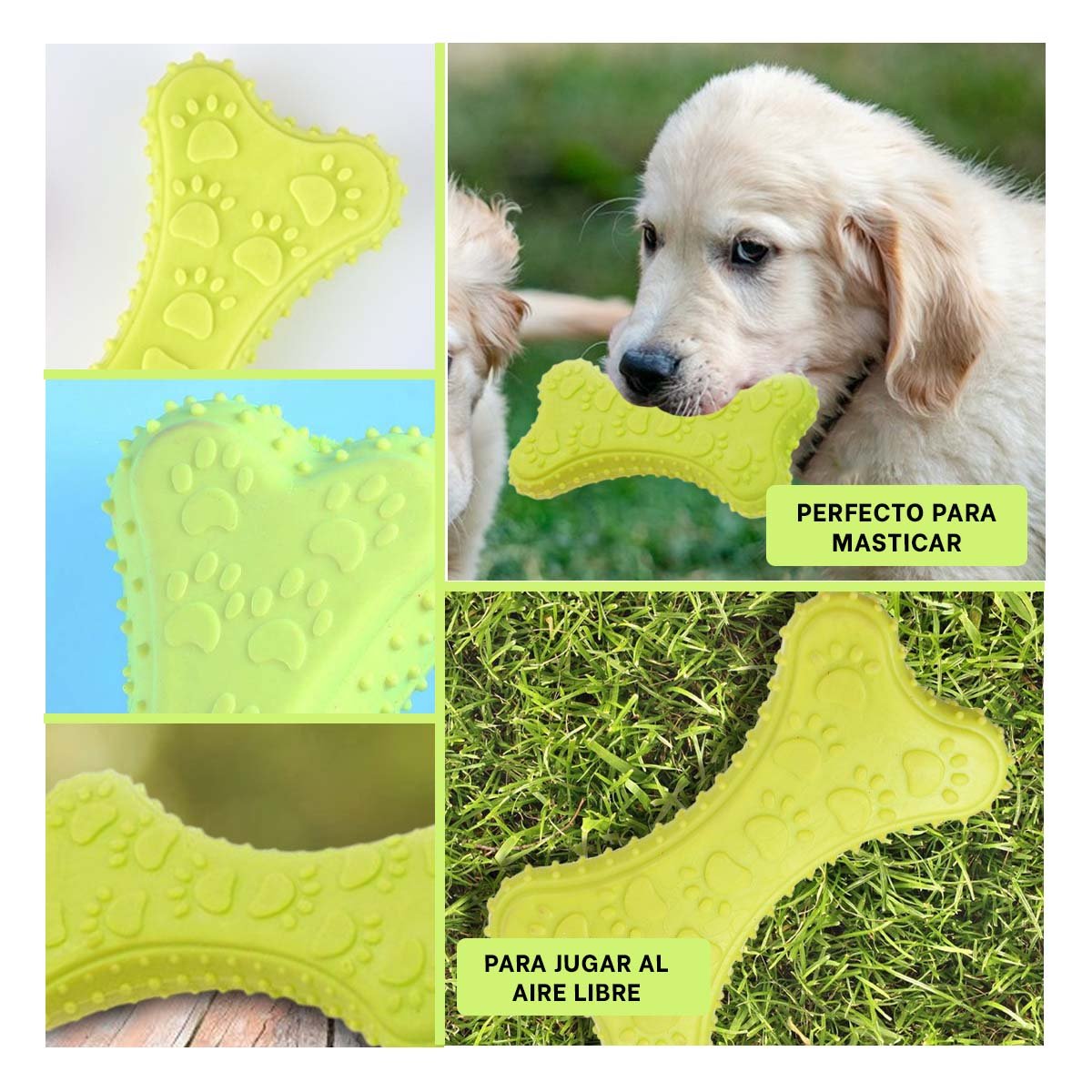 PACK12 ELEMENTO HUESO PEQUENO VERDE LIMON CON IMAGEN EQUILIBRADA Y+PAPEL REGALO - 2
