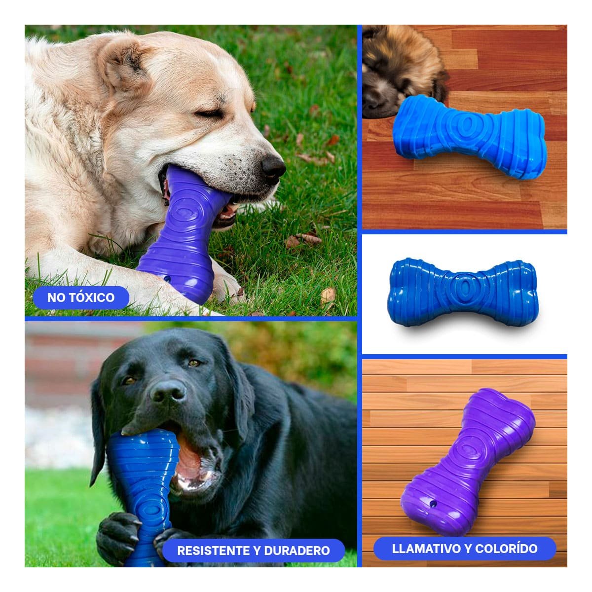 PACK12 ELEMENTO HUESO CON RAYAS EN COLOR AZUL CON IMAGEN EQUILIBRADA Y+PAPEL REGALO - 2