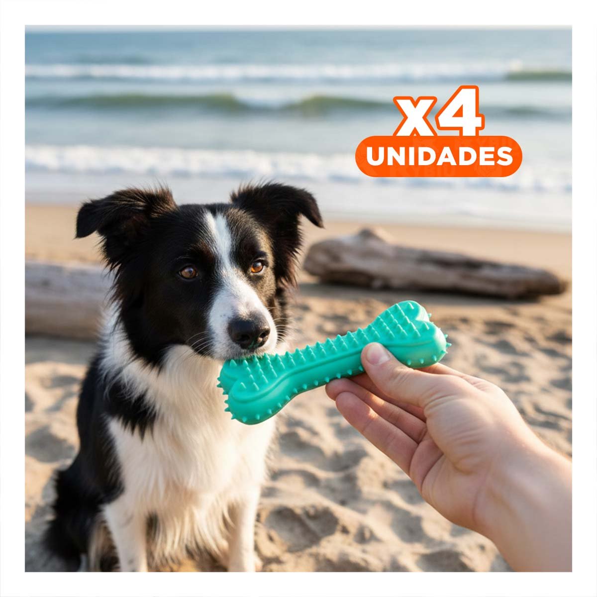 PACK4 JUGUETE DOMESTICO HUESO CON PUAS EN COLOR VERDE AGUA ENTORNOS CONTROLADOS - 1