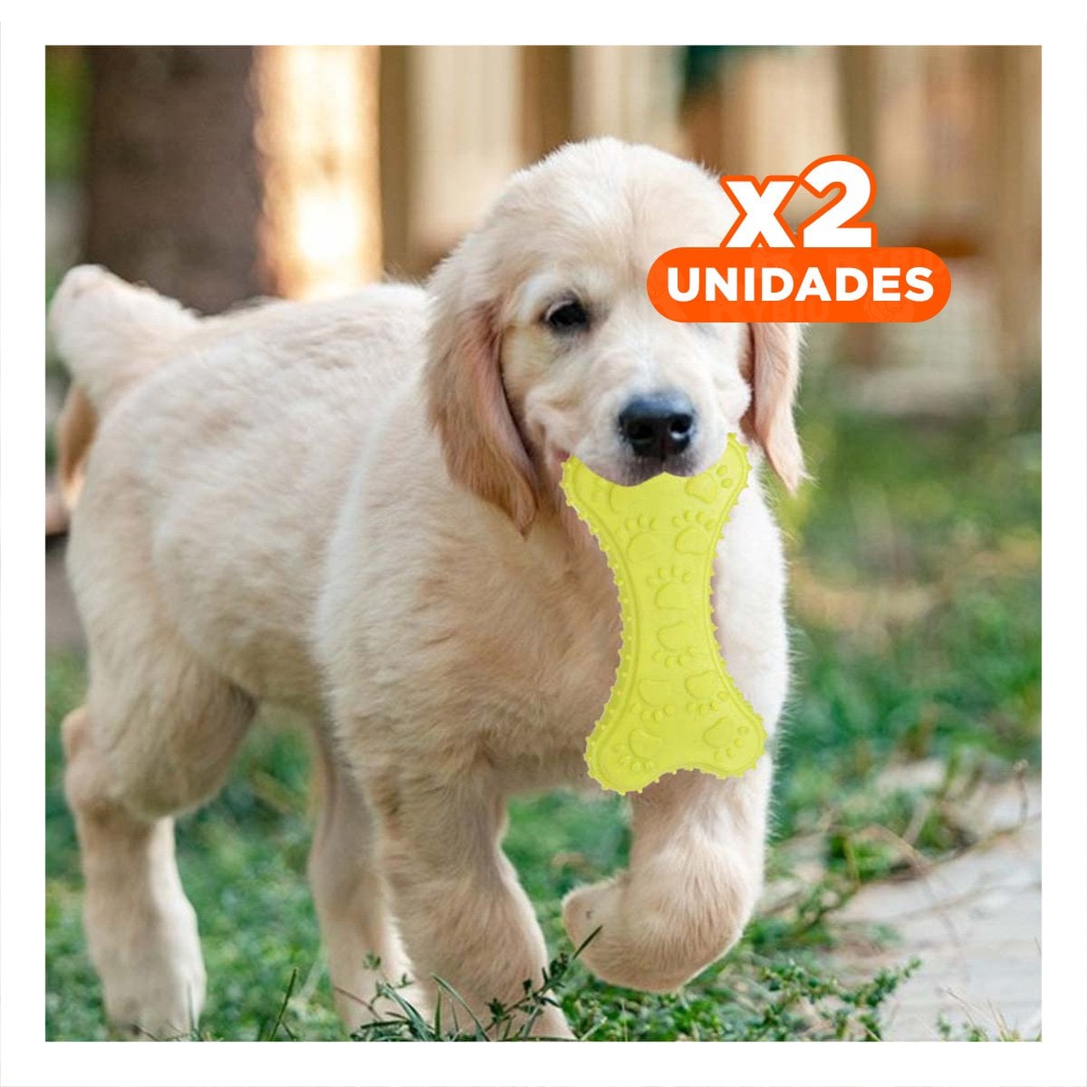 PACK2 MORDEDOR COMPACTO HUESO PEQUENO VERDE LIMON EN DINAMICA COTIDIANA Y+REGALO STICKER - 1
