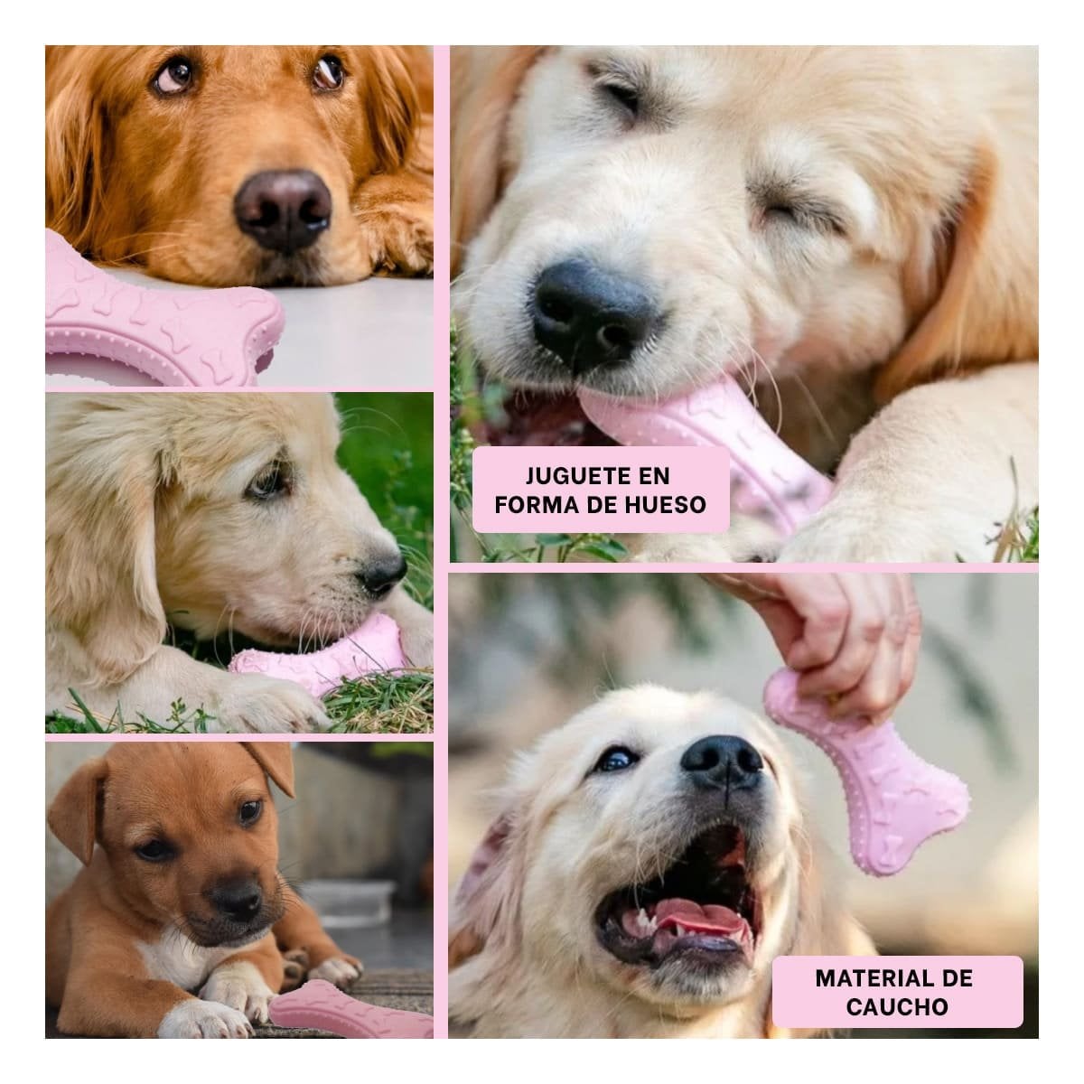 JUGUETE LIVIANO PARA MASCOTA EN ROSADO CLARO CON DISENO DE HUESO Y+POST IT - 1