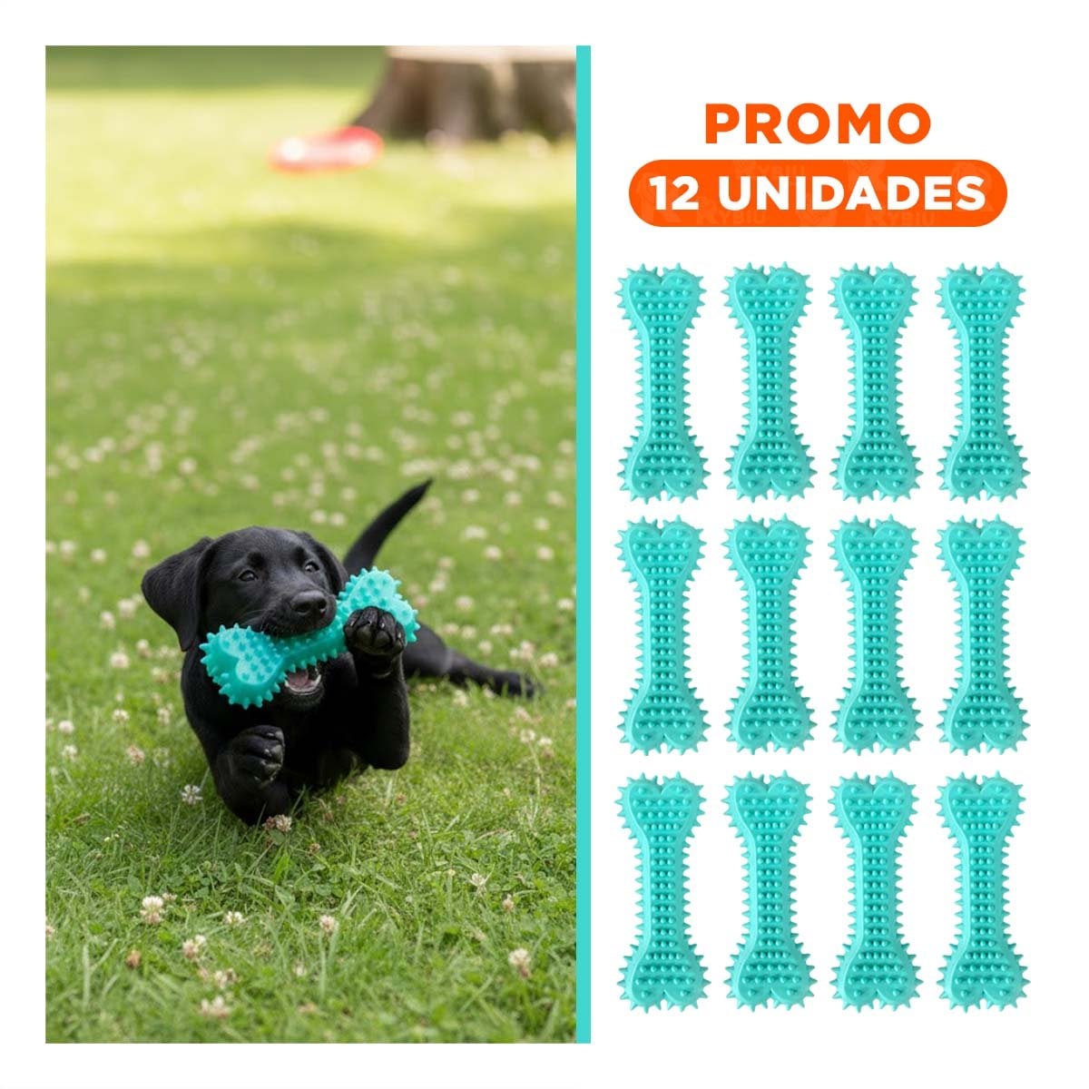 PACK12 ELEMENTO EN VERDE AGUA CON FORMA HUESO CON PUAS EN ESPACIOS NEUTROS Y+REGALO STICKER - 1