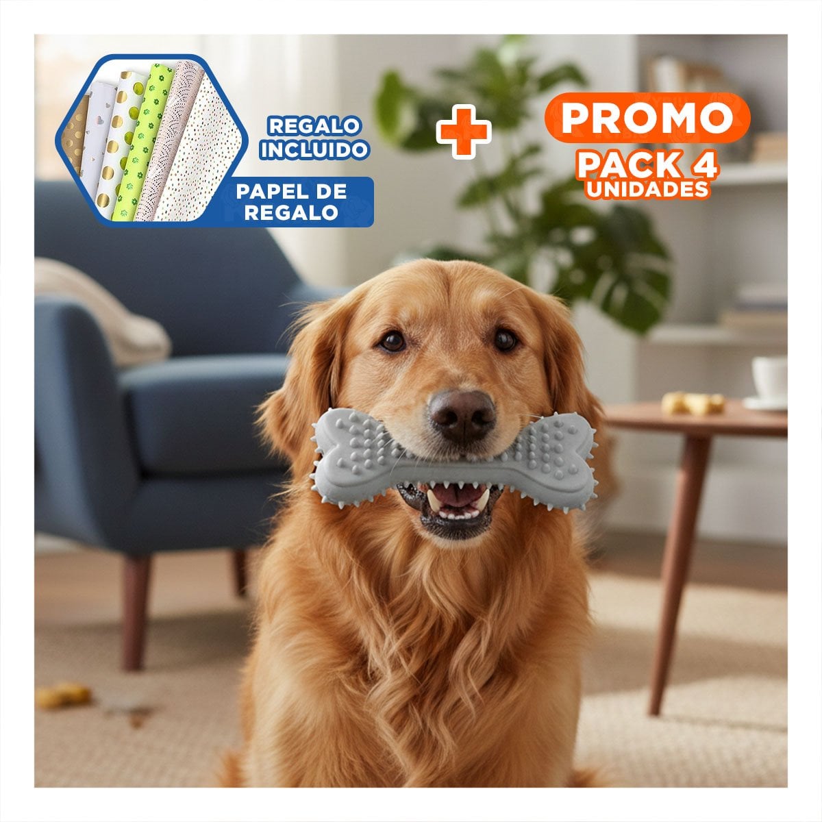 PACK4 JUGUETE PRACTICO EN PLOMO CON FIGURA HUESO CON PUAS PARA ORDEN DIARIO Y+PAPEL REGALO - 1