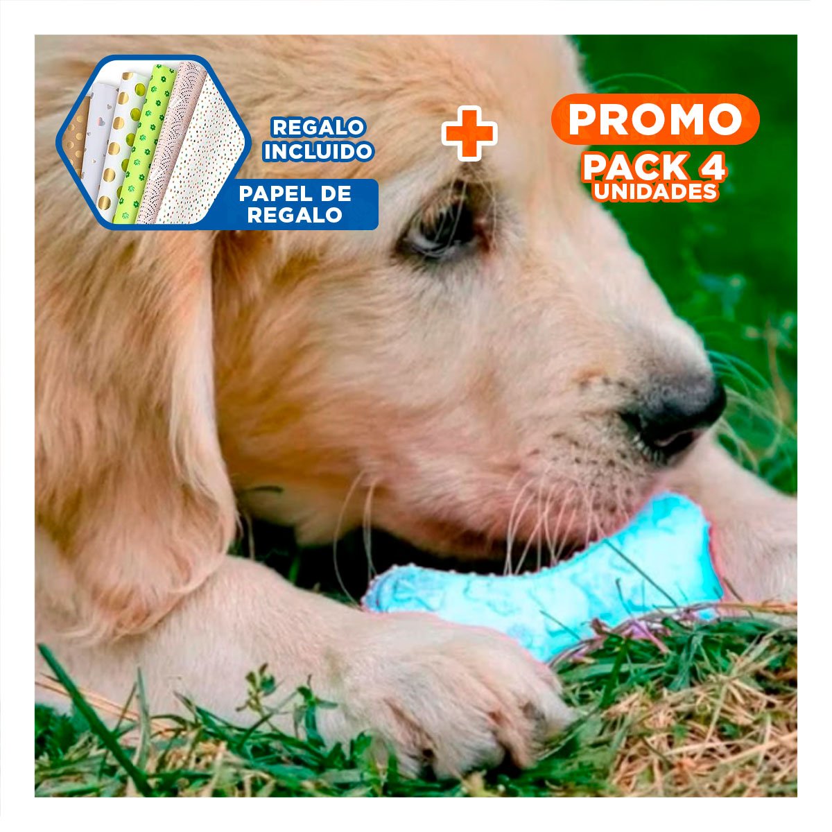 PACK4 JUGUETE PRACTICO CELESTE CLARO CON FIGURA HUESO PEQUENO PARA ORDEN DIARIO Y+PAPEL REGALO - 1
