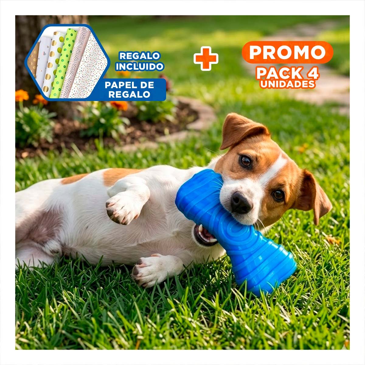 PACK4 JUGUETE PRACTICO EN AZUL CON FIGURA HUESO CON RAYAS PARA ORDEN DIARIO Y+PAPEL REGALO - 1