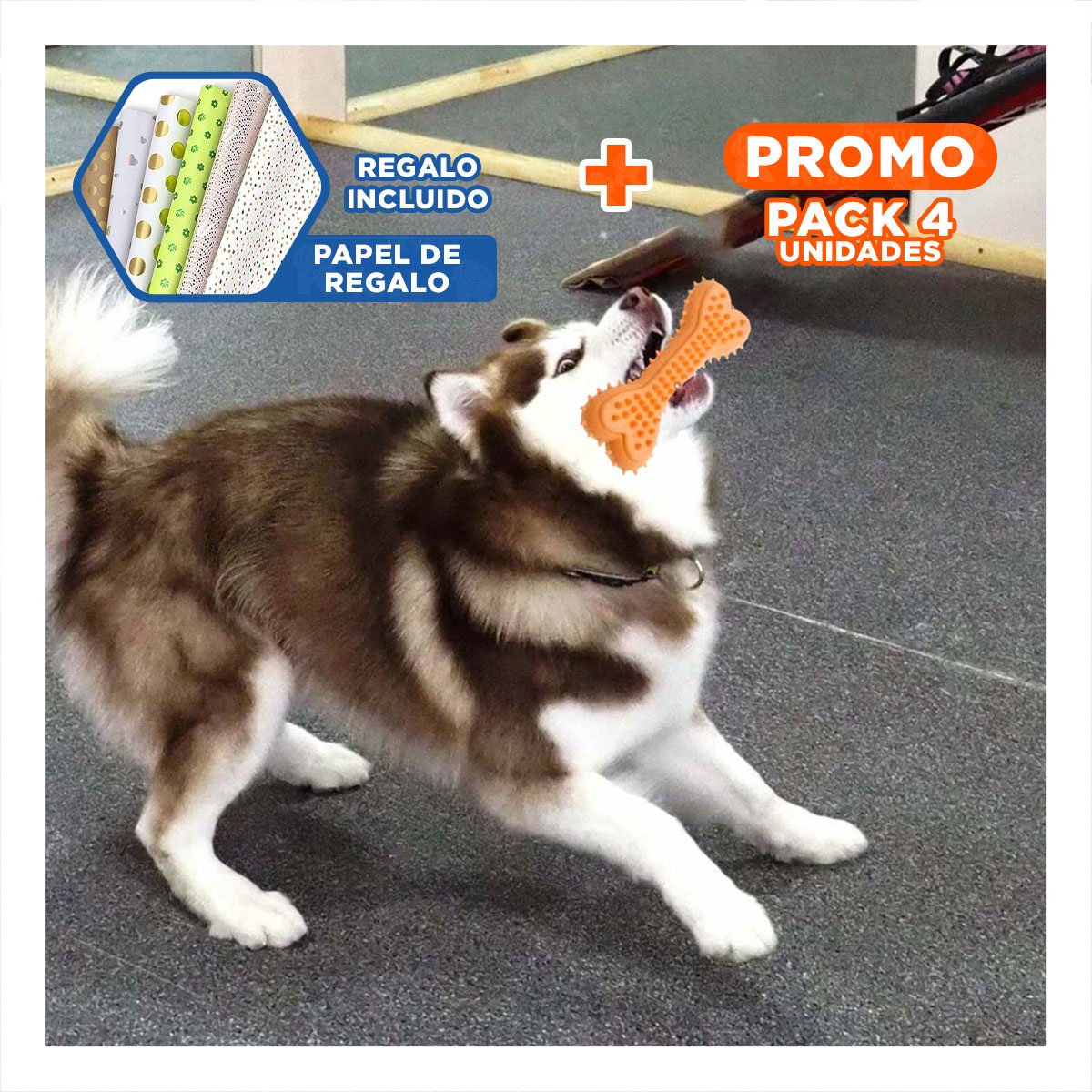 PACK4 JUGUETE PRACTICO EN NARANJA CON FIGURA HUESO CON PUAS PARA ORDEN DIARIO Y+PAPEL REGALO - 1