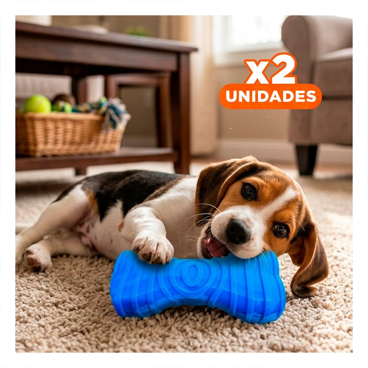 PACK2 MORDEDOR COMPACTO HUESO CON RAYAS EN COLOR AZUL EN DINAMICA COTIDIANA Y+REGALO STICKER - 1